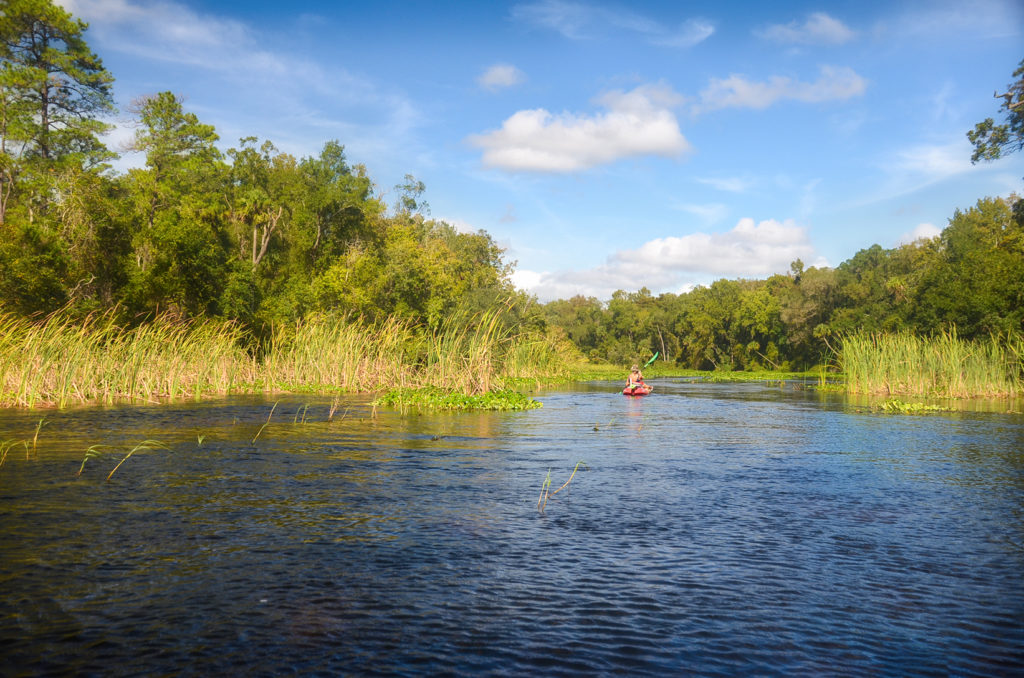 Paddling Alexander Spring Creek
