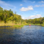 Paddling Alexander Spring Creek