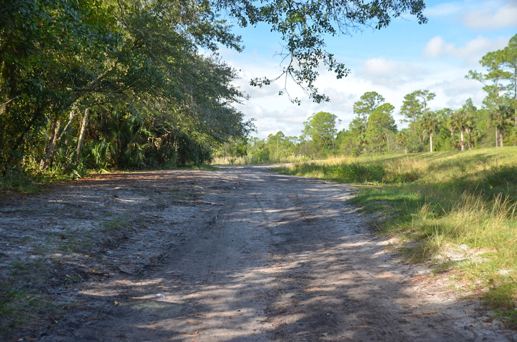 The Launch Approach Road