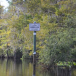 Entering Dunnellon