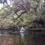 James Under Oak