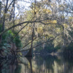 Late afternoon - River Rise