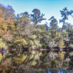 Paddling Downstream - River Rise