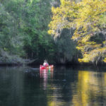 Paddling in Fall - Withlacoochee