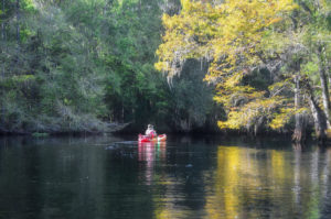 Paddling in Fall - Withlacoochee