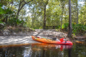 Rest Stop on the Withlacoochee