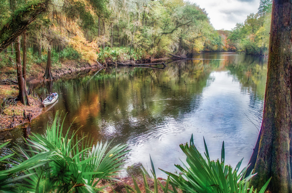 River Rise - Santa Fe River