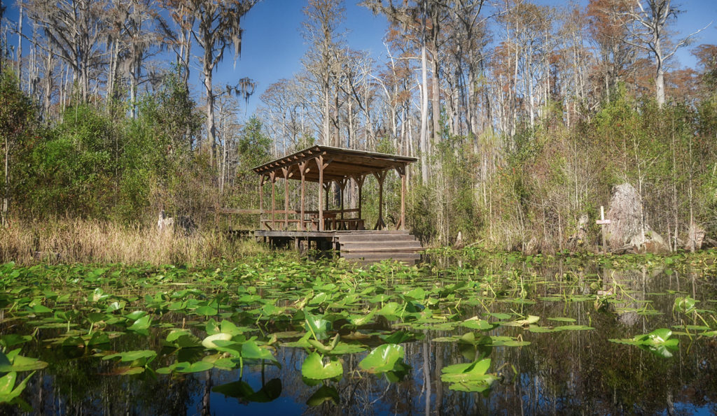 The Shelter at Minnie's Lake