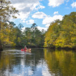 The Withlacoochee River South