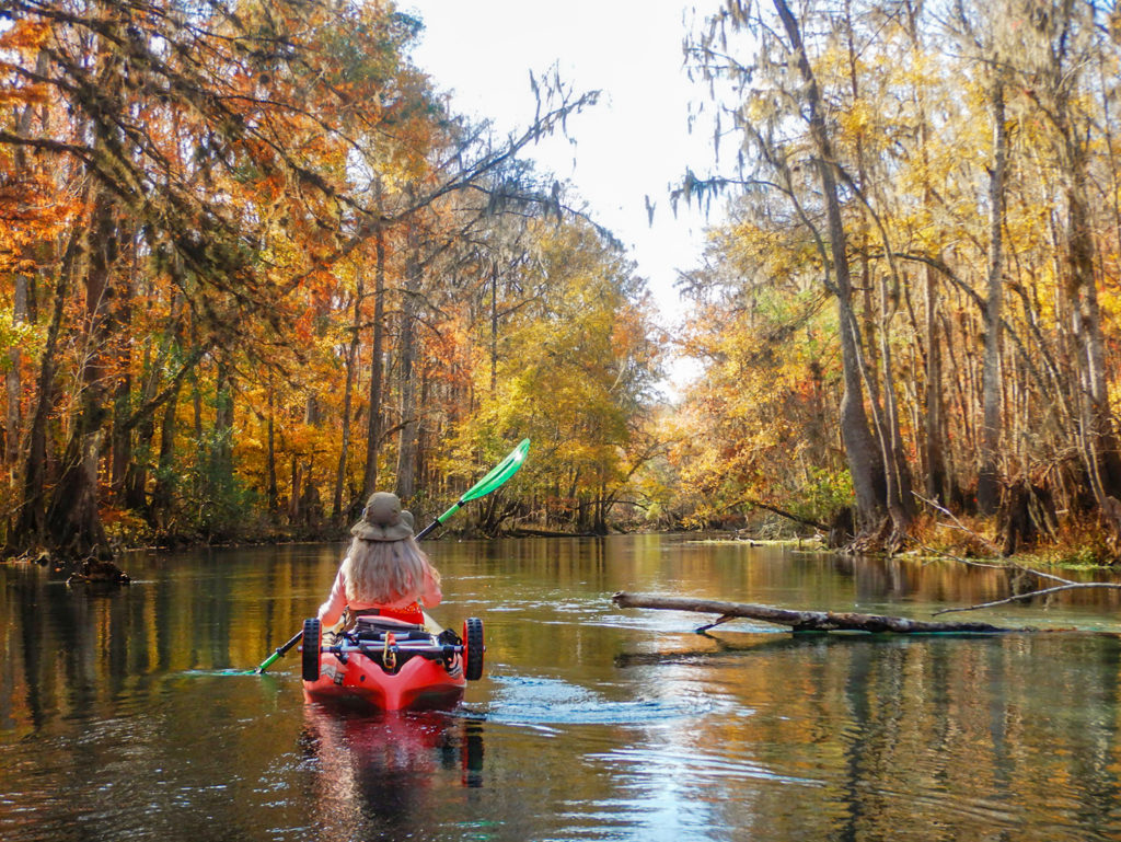 Fall Paddle on the Ichetucknee River