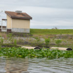 Drain Station - Ocklawaha River