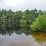 The Ocklawaha River at Moss Bluff