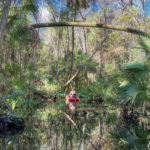 A side lagoon - Homosassa