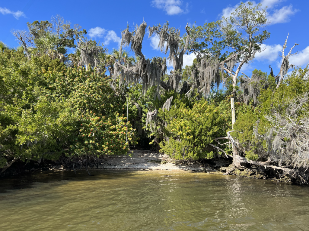 Homosassa River Rest Stop