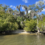 Homosassa River Rest Stop