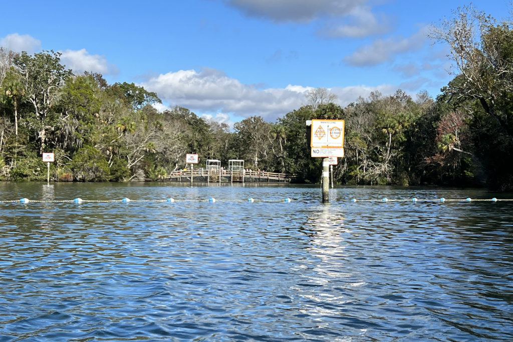 Homosassa Spring Head