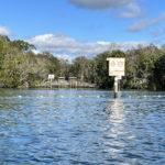 Homosassa Spring Head