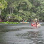 Entering Manatee Spring Run