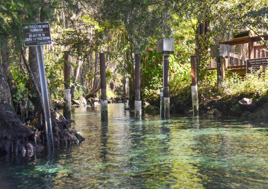 Entrance to Three Sisters Spring - Florida Paddle Notes