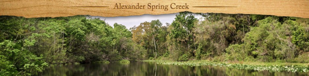 Alexander Spring Creek - Featured Image