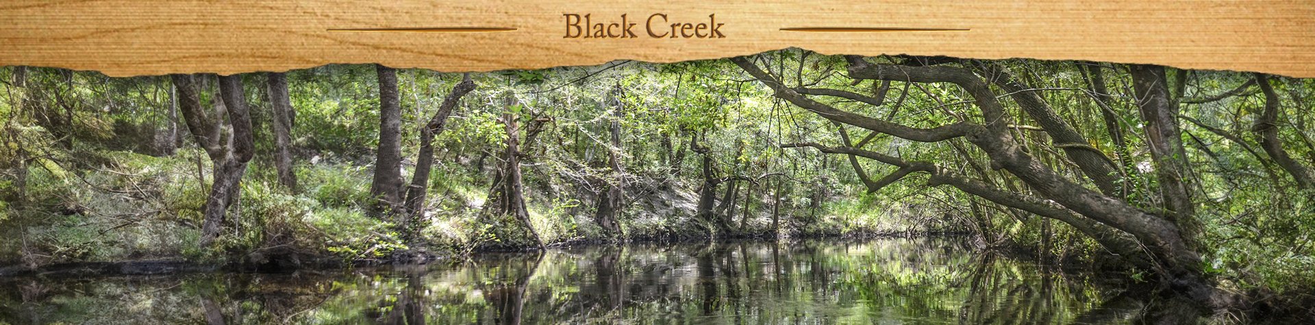 Black Creek – North Fork