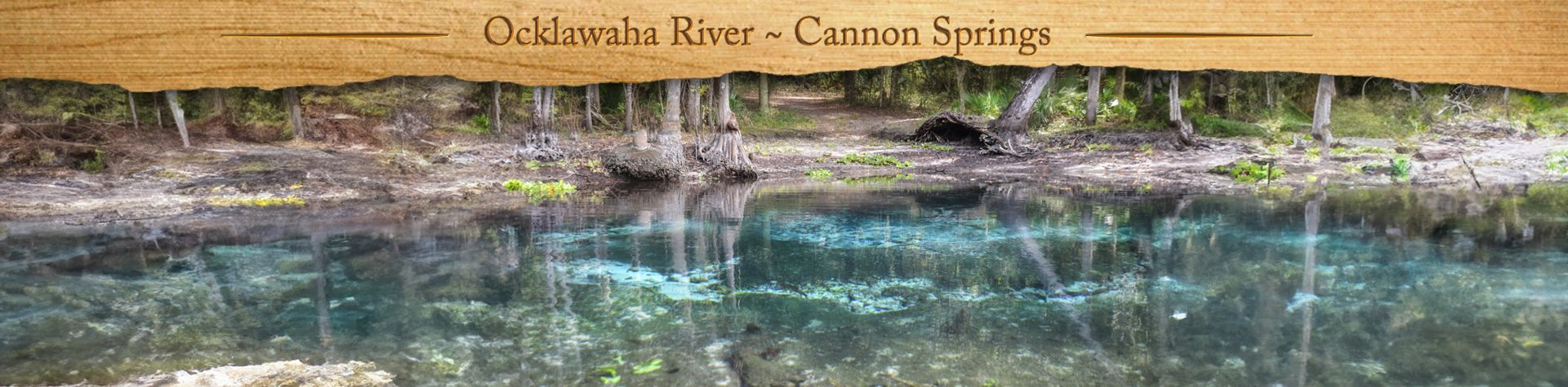 Ocklawaha River – Eureka West to Payne’s Landing