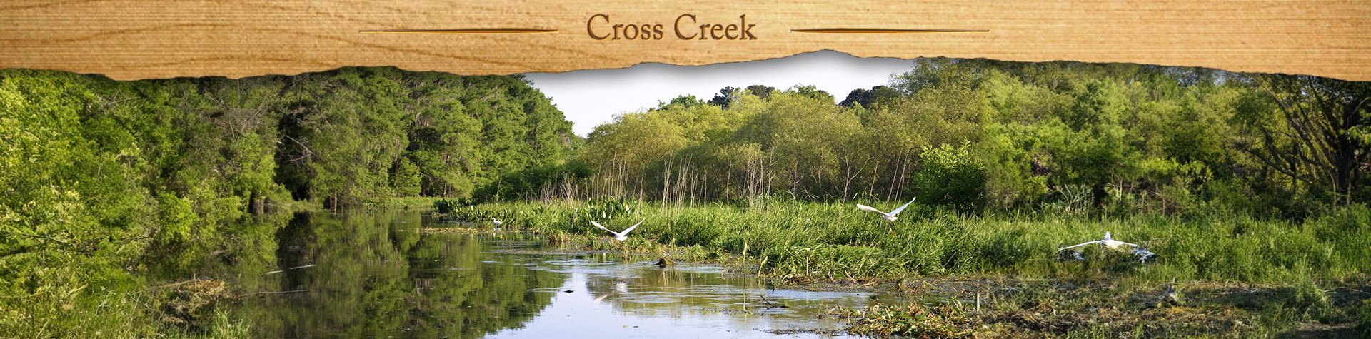 Cross Creek