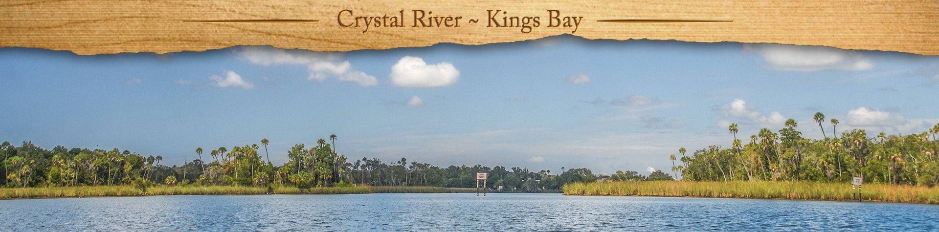 Crystal River – Kings Bay