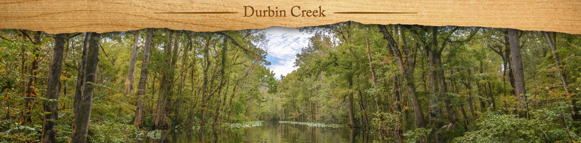 Durbin Creek – Bartram Canoe Trail