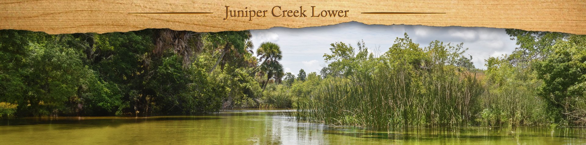 Lower Juniper Creek