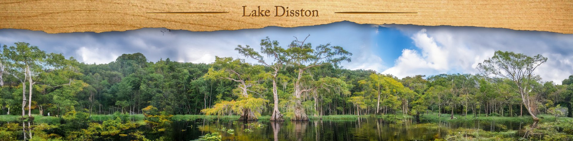 Lake Disston – Full Moon Paddle