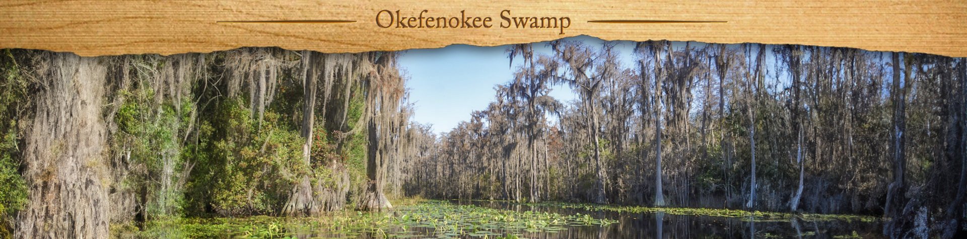 Okefenokee Swamp – Minnie’s Lake