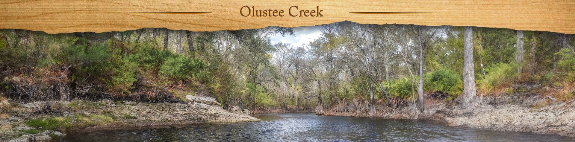 Olustee Creek – Upper Santa Fe River