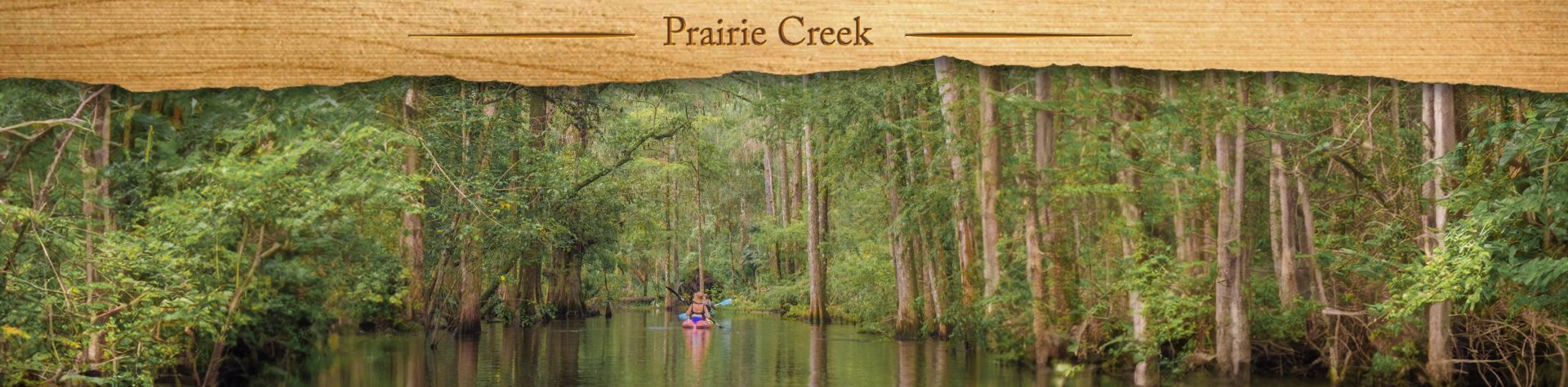 Prairie Creek – Sept 2018