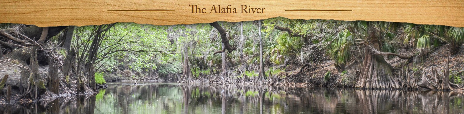 Alafia River